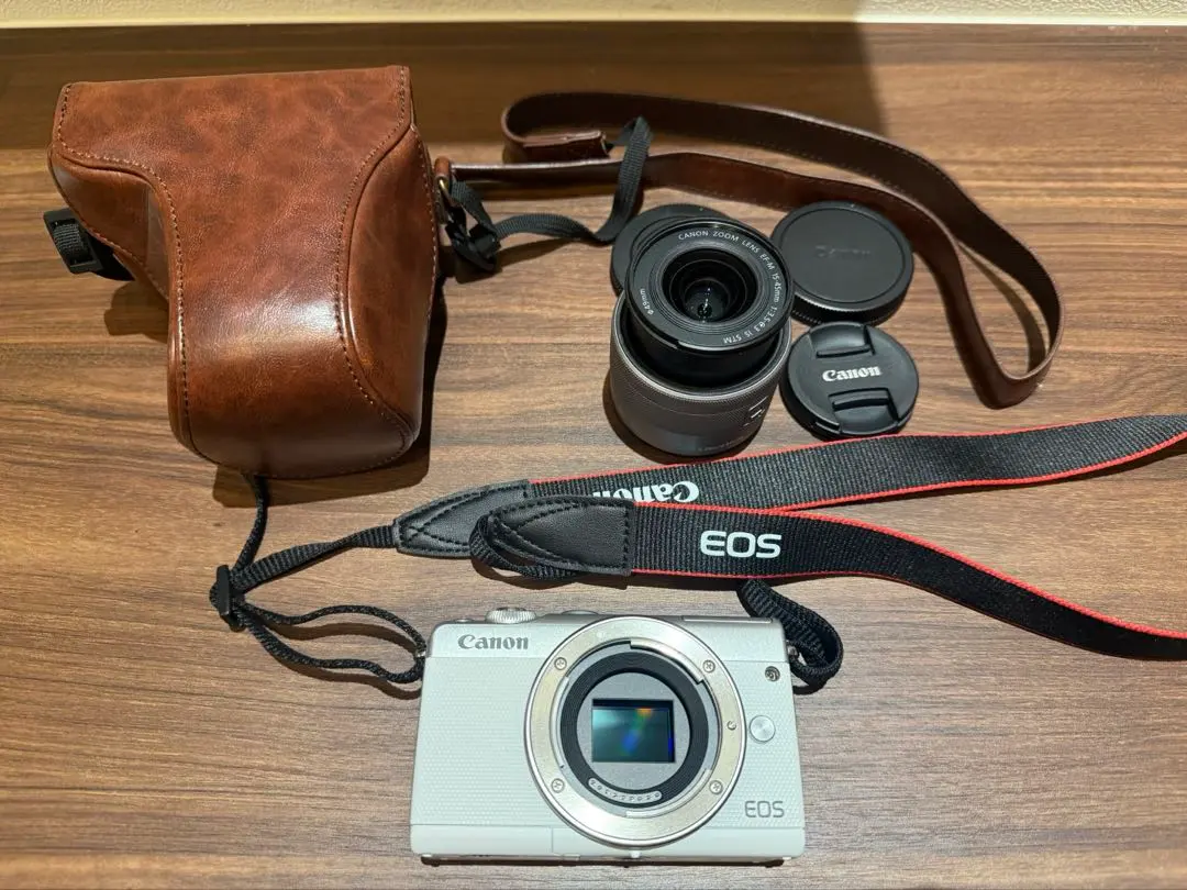 2026年最新】eos m100 ケースの人気アイテム - メルカリ