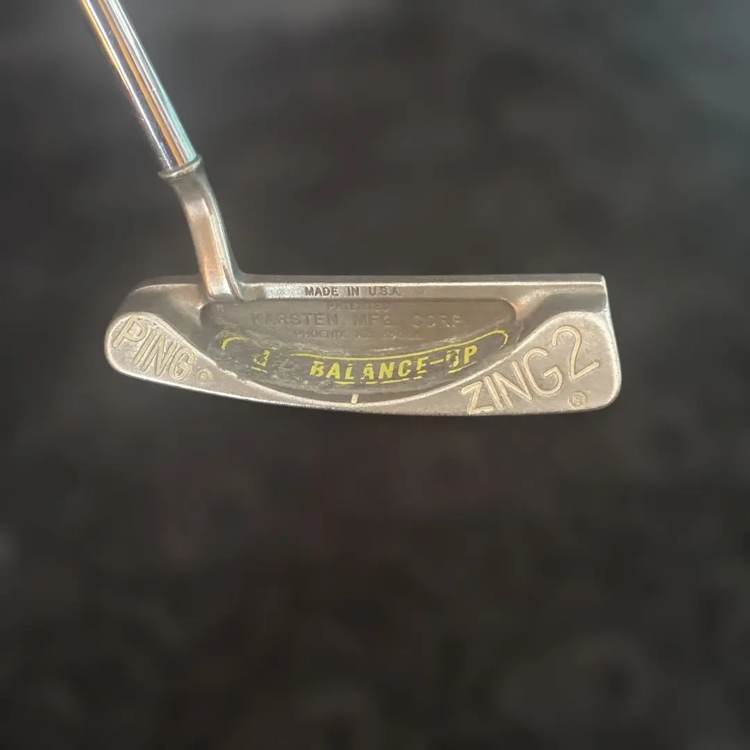 2026年最新】ping zing2の人気アイテム - メルカリ