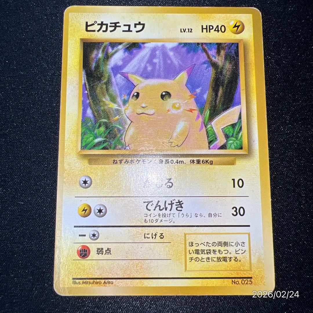 m31660151086_1.jpg?1771940888