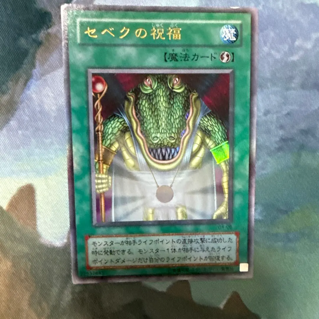 2026年最新】セベクの祝福 遊戯王の人気アイテム - メルカリ