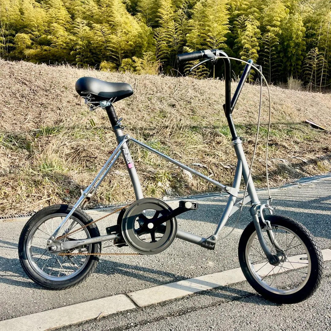 m43656634084_1.jpg?1770947945