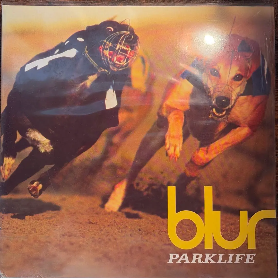 2026年最新】PARKLIFE レコードの人気アイテム - メルカリ