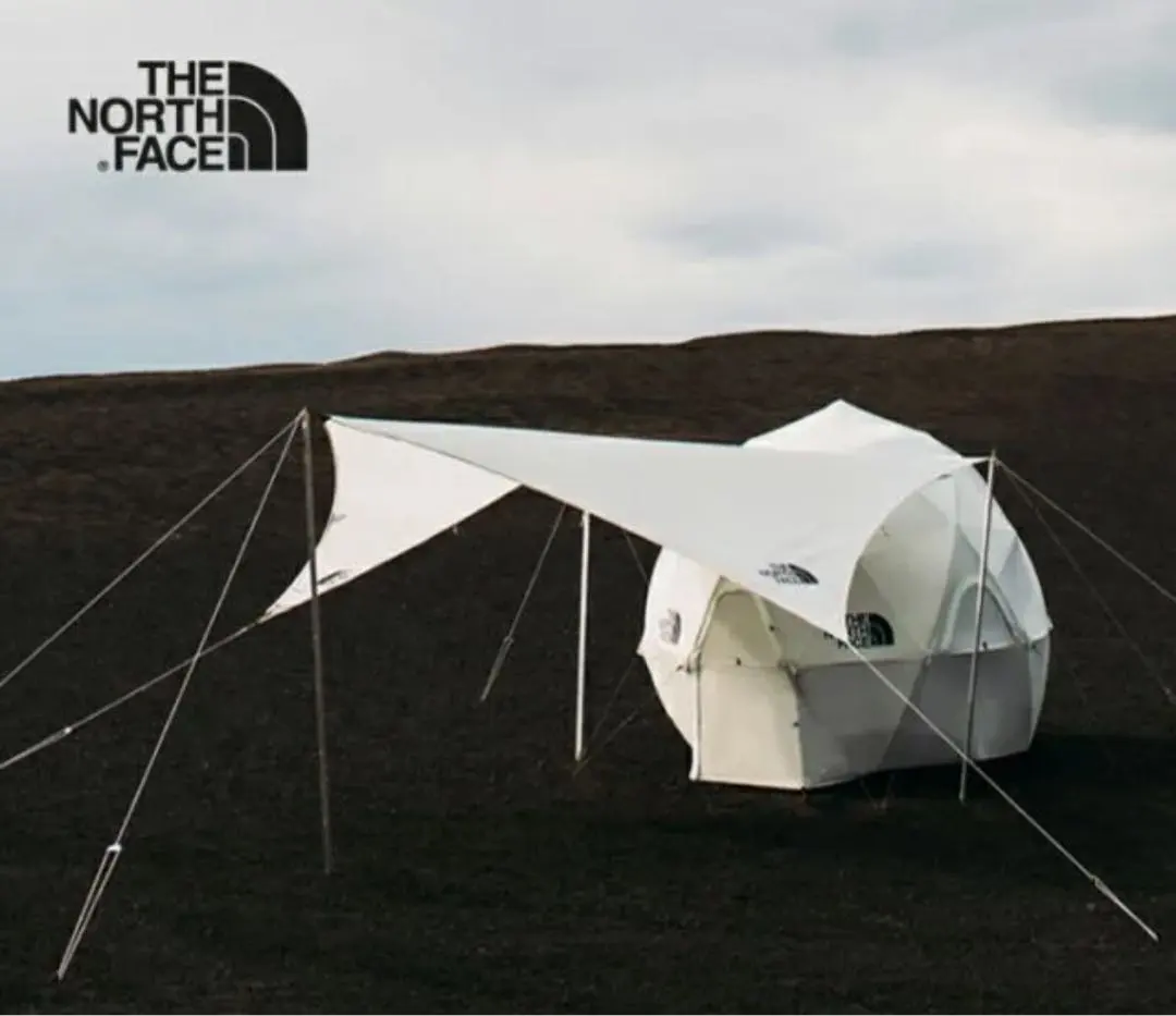 2026年最新】starp5の人気アイテム - メルカリ