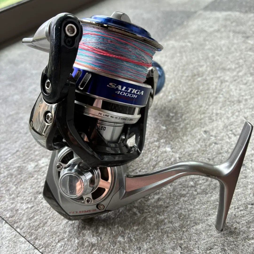 2026年最新】ダイワ ソルティガ 4000hの人気アイテム - メルカリ