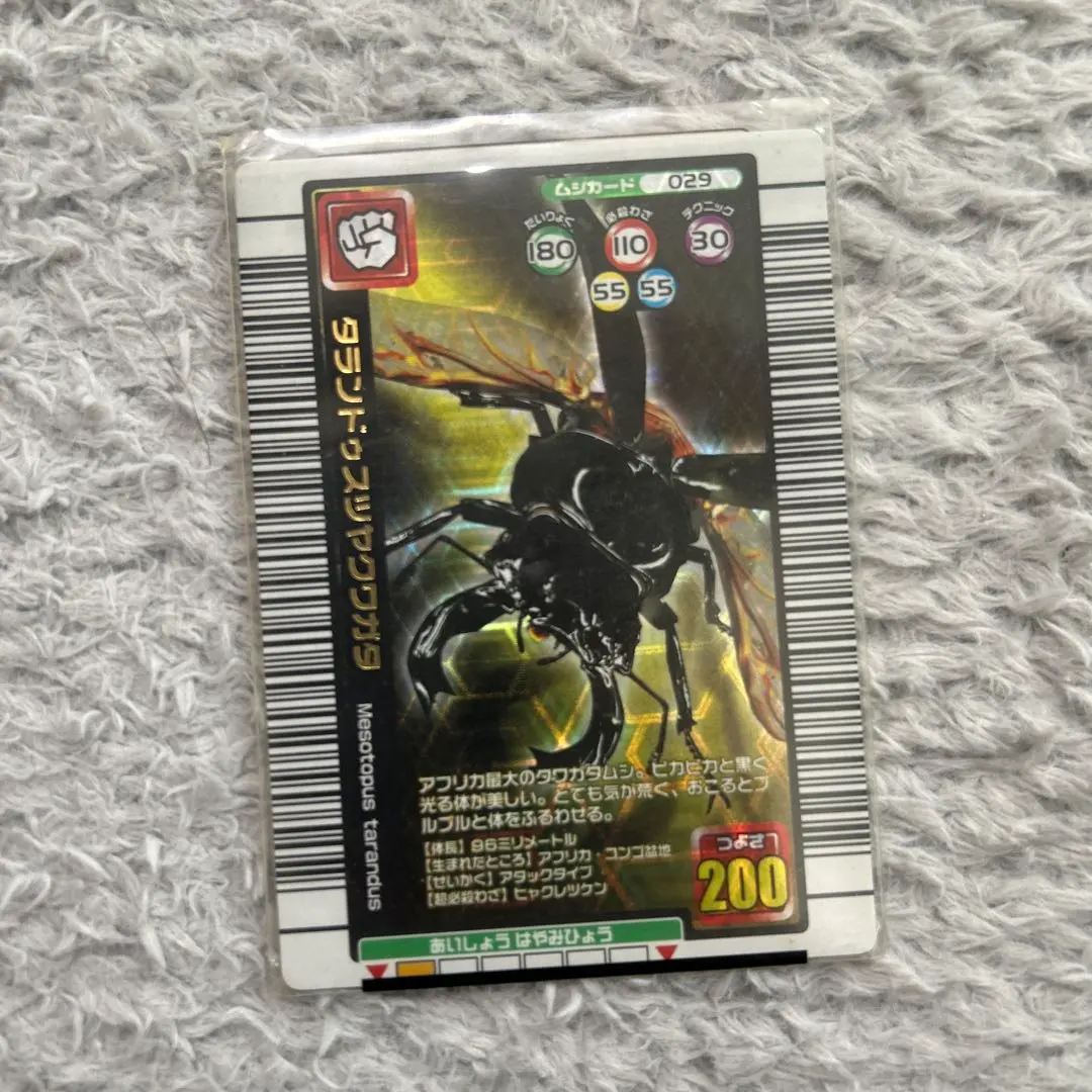 2026年最新】タランドゥスツヤクワガタ 2005の人気アイテム - メルカリ