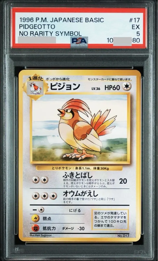 2026年最新】ピジョット 旧裏 psaの人気アイテム - メルカリ