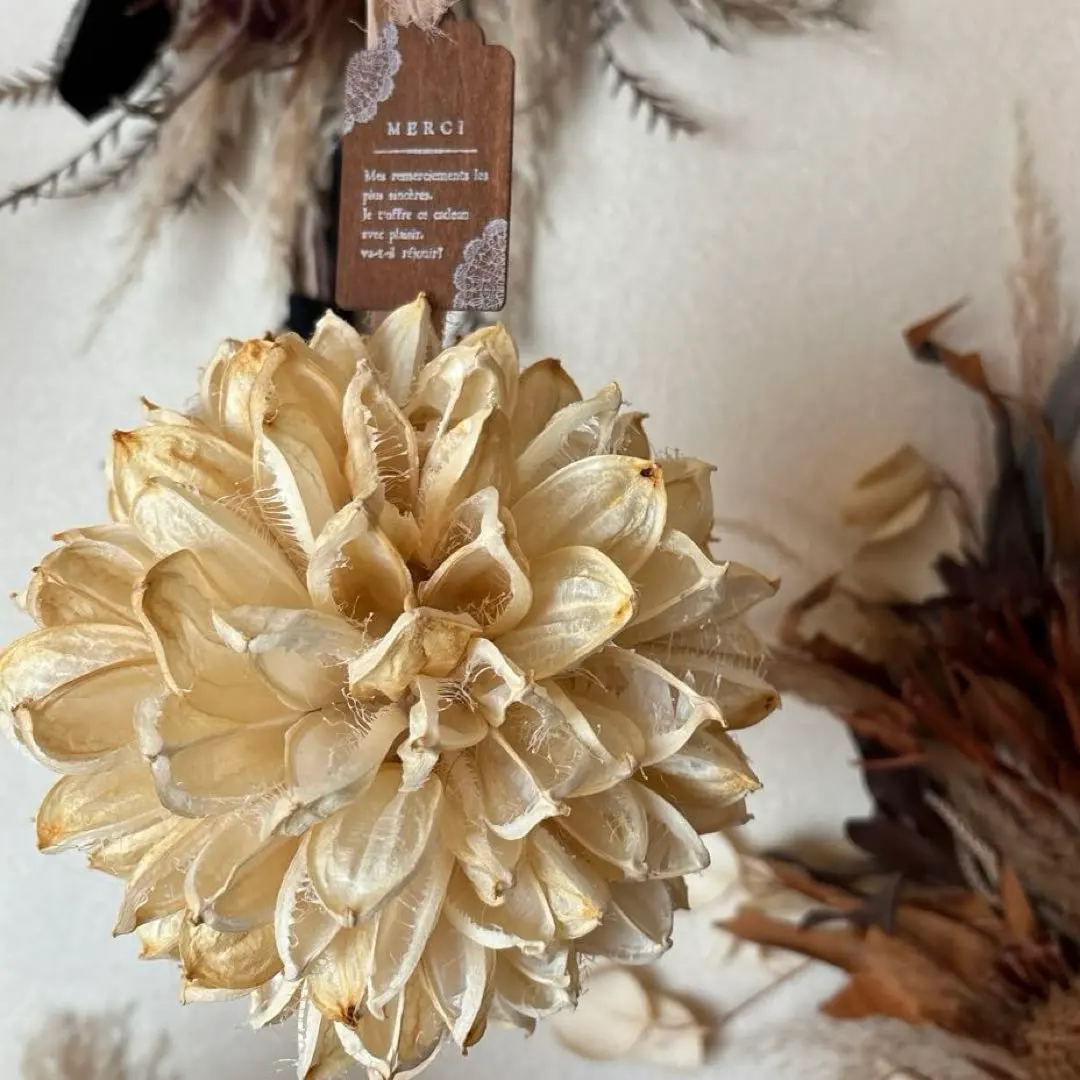 2026年最新】フライングボール ドライフラワーの人気アイテム - メルカリ