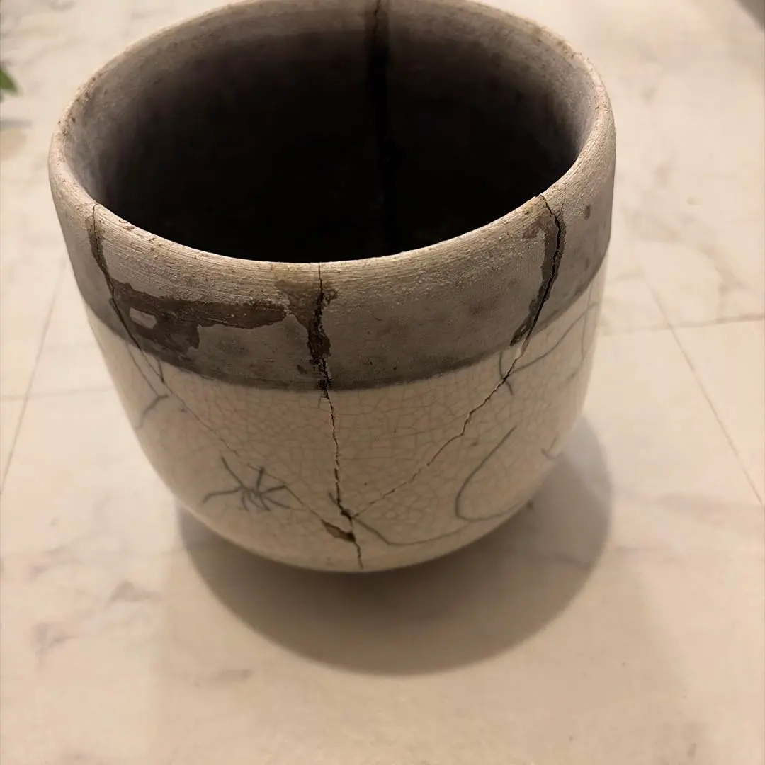 2026年最新】domani ドマーニ 鉢の人気アイテム - メルカリ