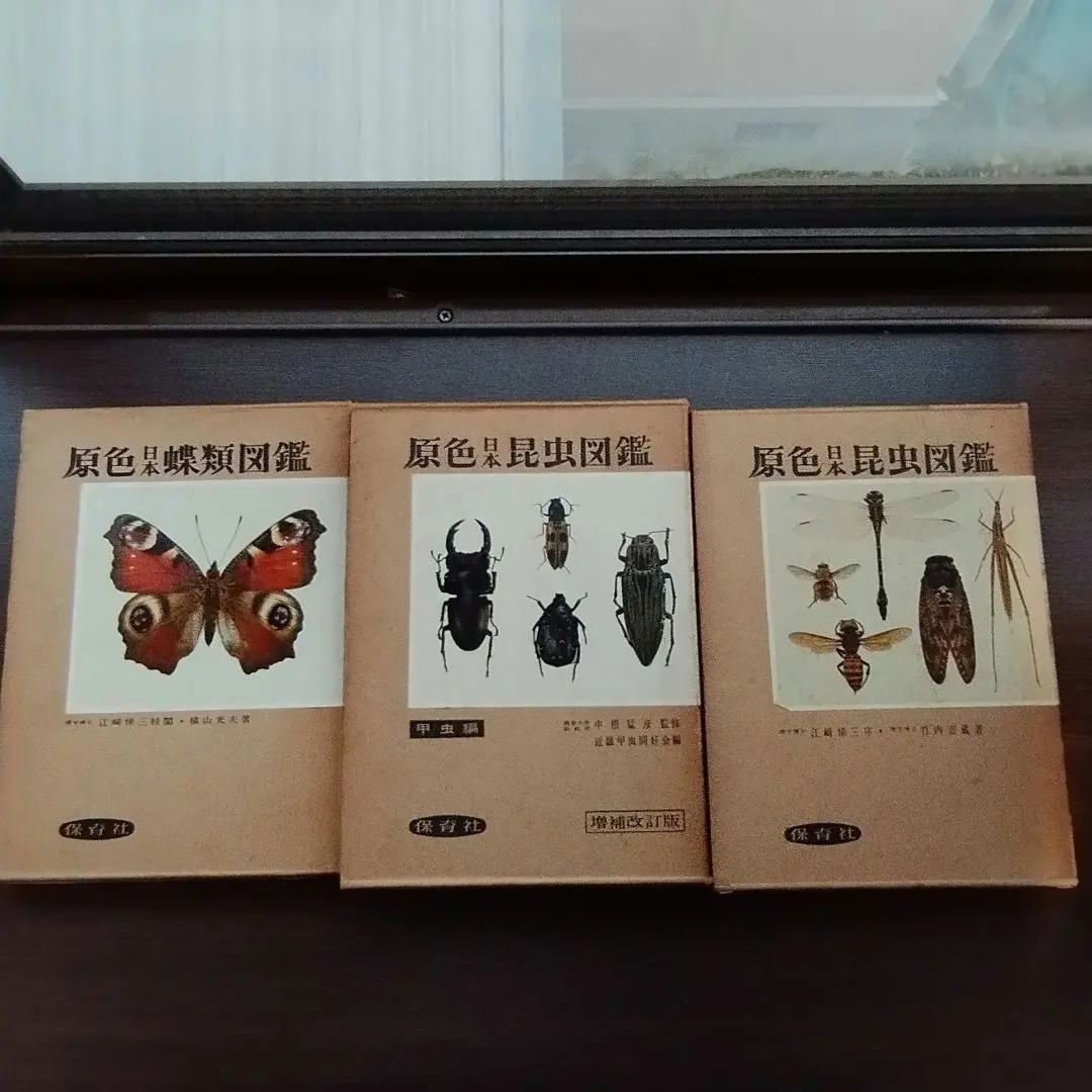 2026年最新】原色日本蝶類図鑑の人気アイテム - メルカリ