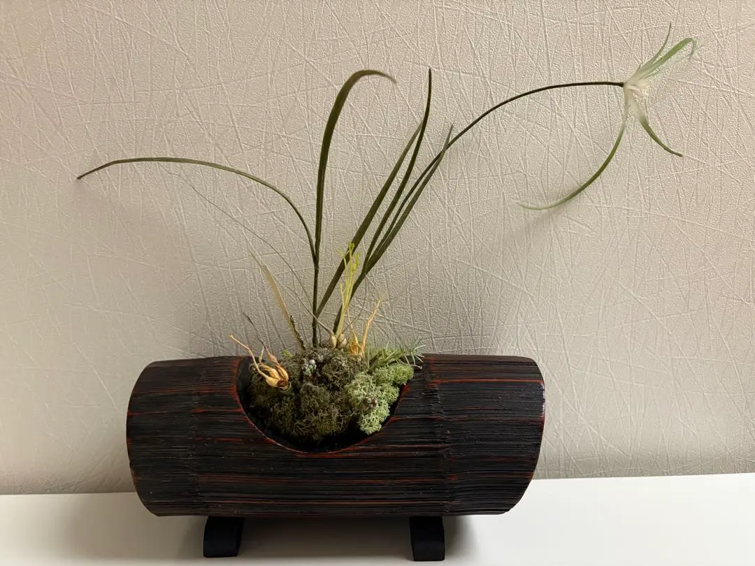 2026年最新】花器 竹 船の人気アイテム - メルカリ