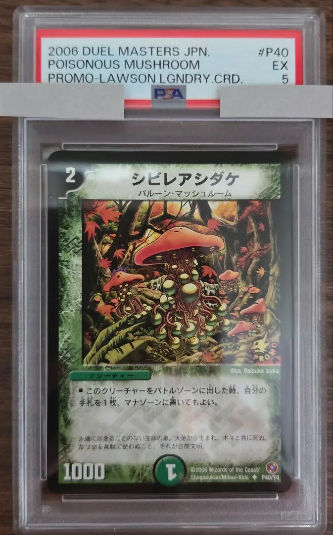 2026年最新】シビレアシダケ プロモの人気アイテム - メルカリ