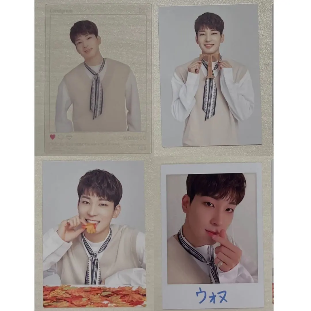 2026年最新】SEVENTEEN ウォヌ トレカ odetoyouの人気アイテム - メルカリ