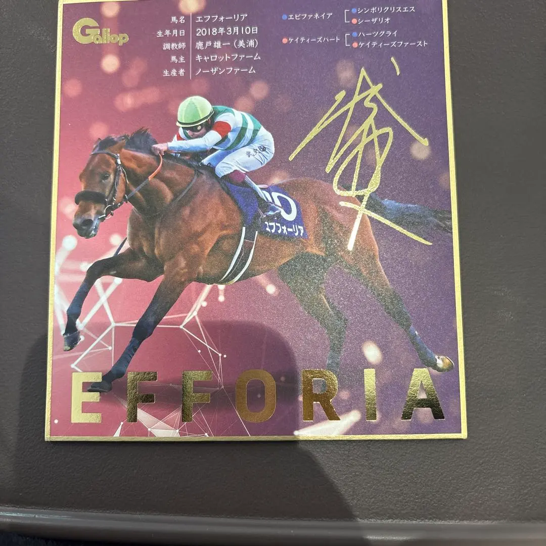 2026年最新】横山武史 サインの人気アイテム - メルカリ