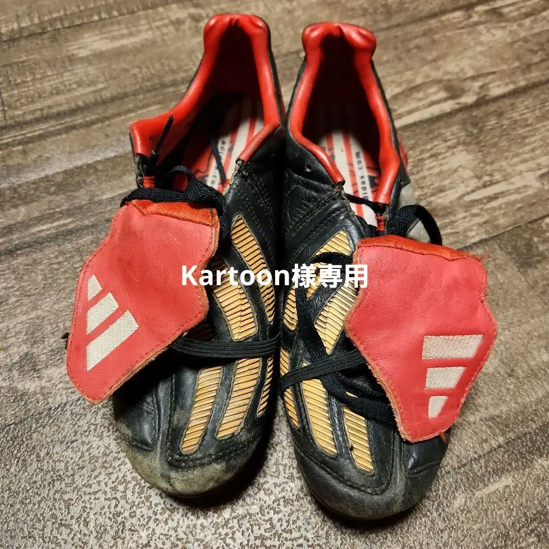 2026年最新】プレデターマニア sgの人気アイテム - メルカリ