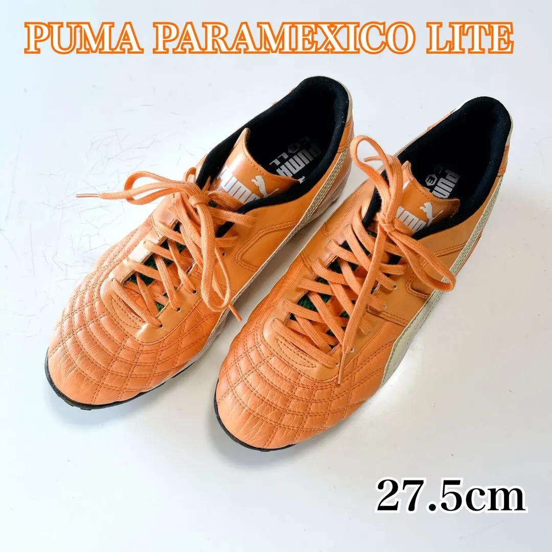 2026年最新】パラメヒコライトの人気アイテム - メルカリ