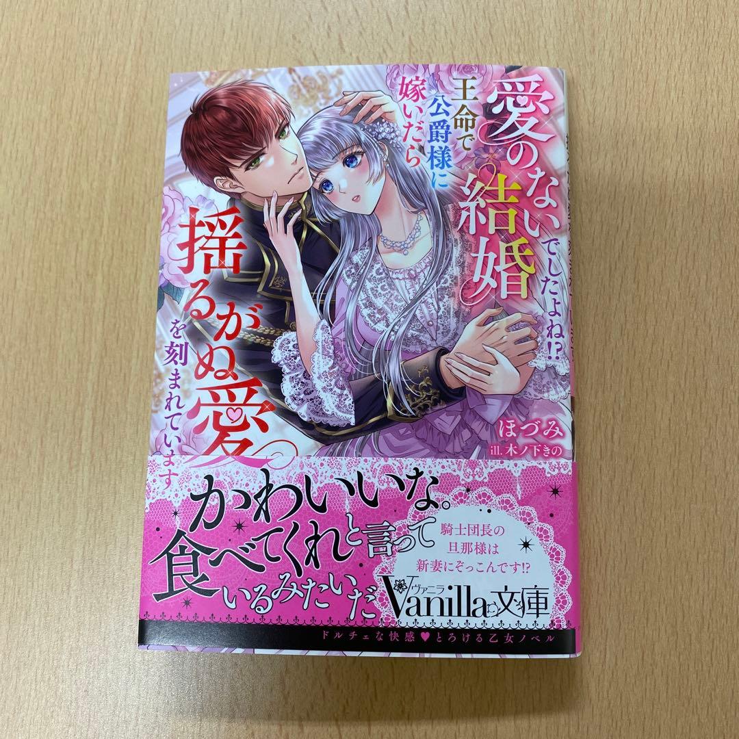 ビビ様専用】2月新刊 ヴァニラ＆蜜猫文庫 4冊セット - メルカリ
