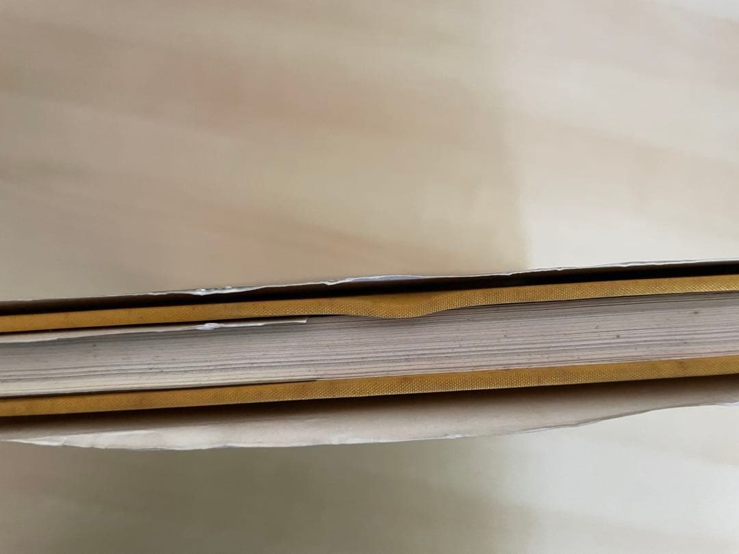 nude of J. 五味彬 トニ・メネグッツォ　サイン付き