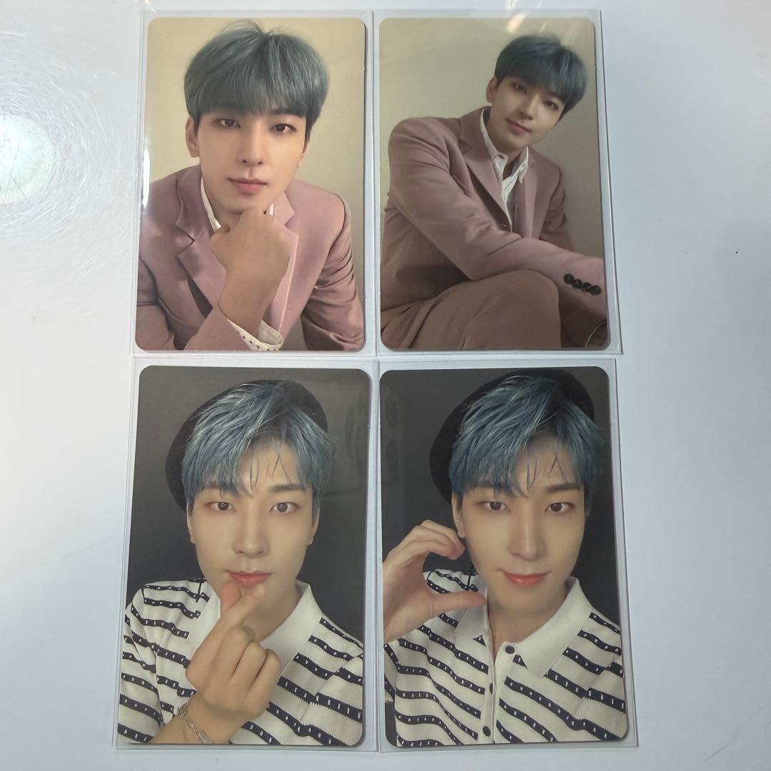 SEVENTEEN 舞い落ちる花びら ウォヌ セブチ - メルカリ