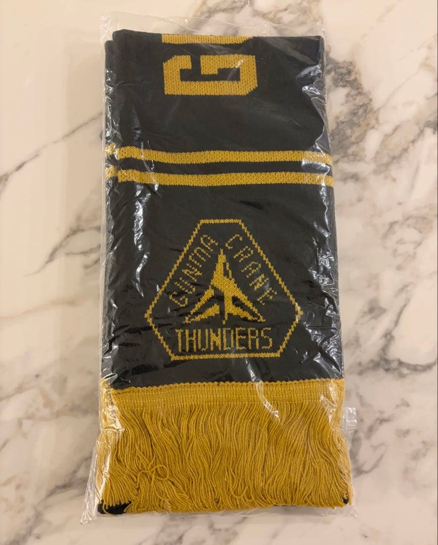 群馬クレインサンダース ファンクラブ特典4点セット ユニフォーム