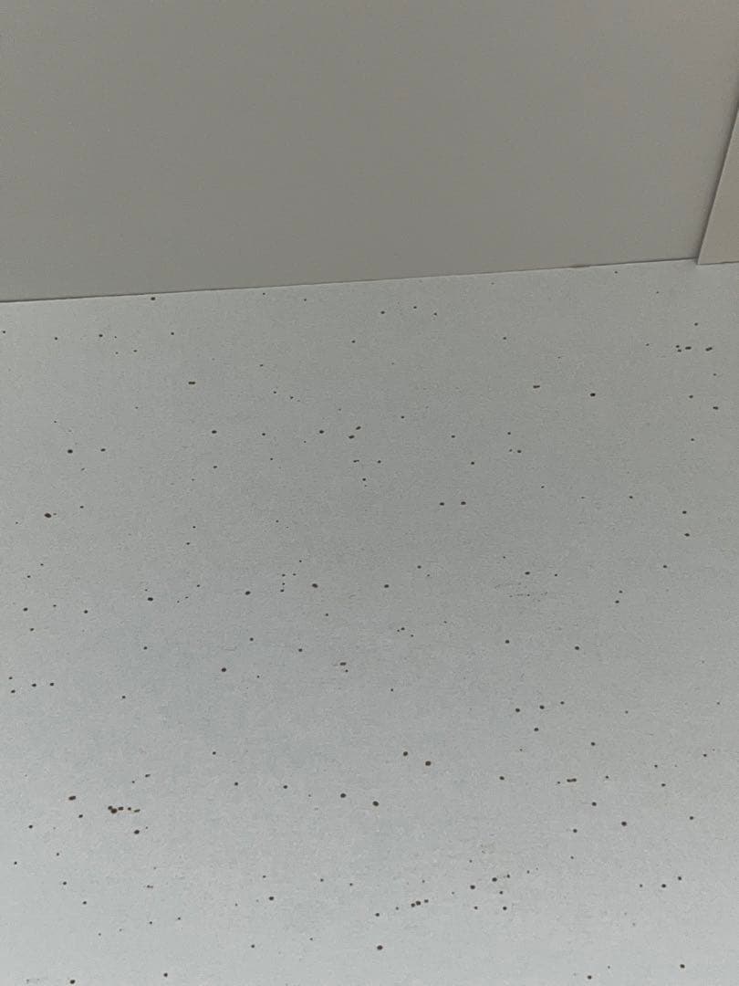 最終値下げ！ラウジッツァーグラス 花瓶 - メルカリ