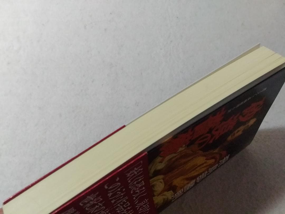 砂漠の薔薇 カッパノベルス 新書 飛鳥部勝則 書下ろし長編推理小説 光文社