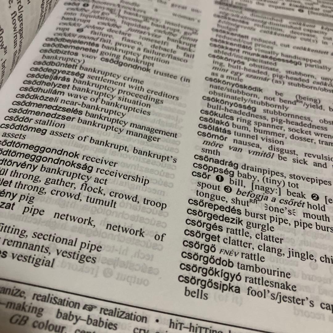 辞書 ハンガリー語-英語の通販はau PAY マーケット - 輸入雑貨のネット