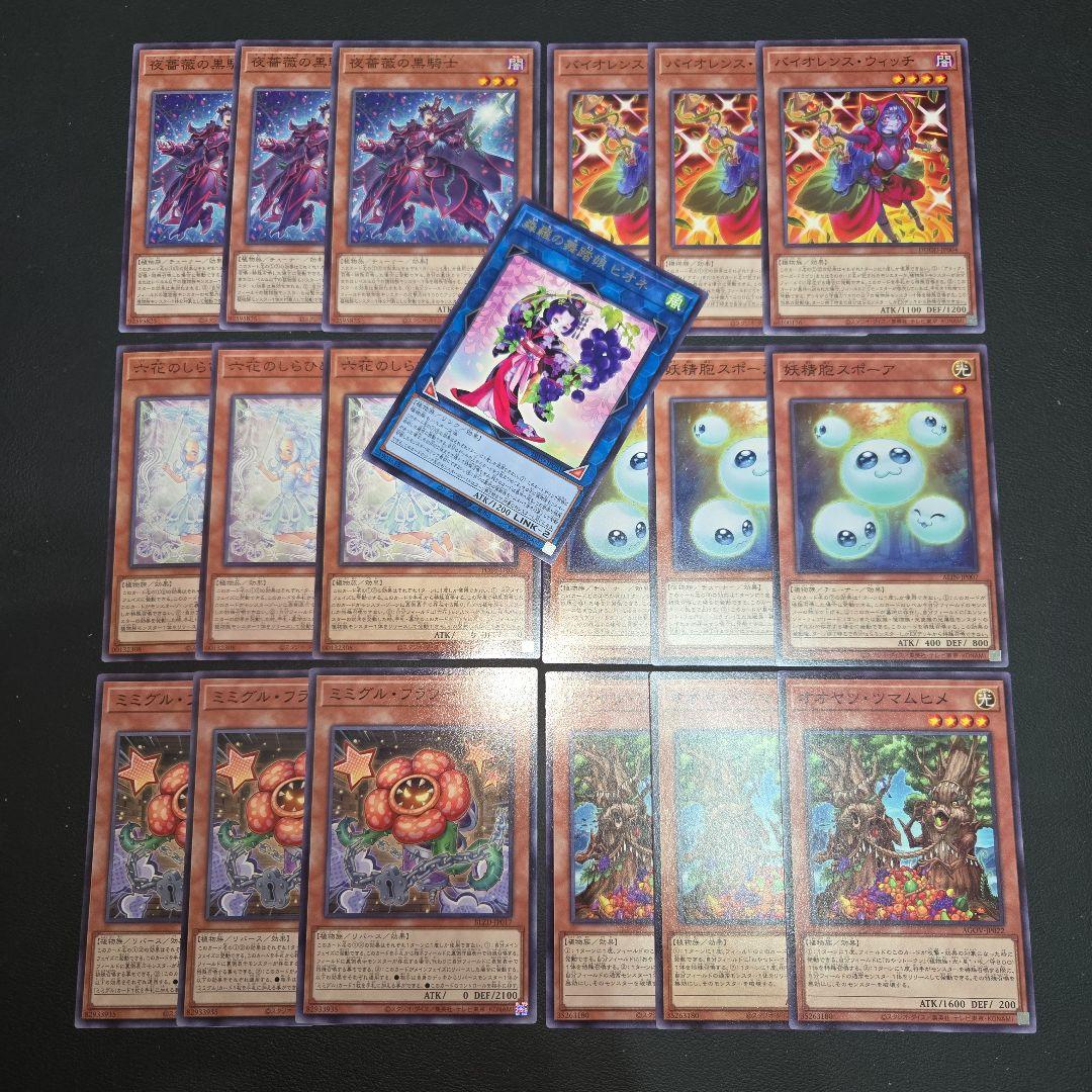 遊戯王 植物族 デッキパーツセット① 森羅の舞踏娘ピオネ 字レア 汎用