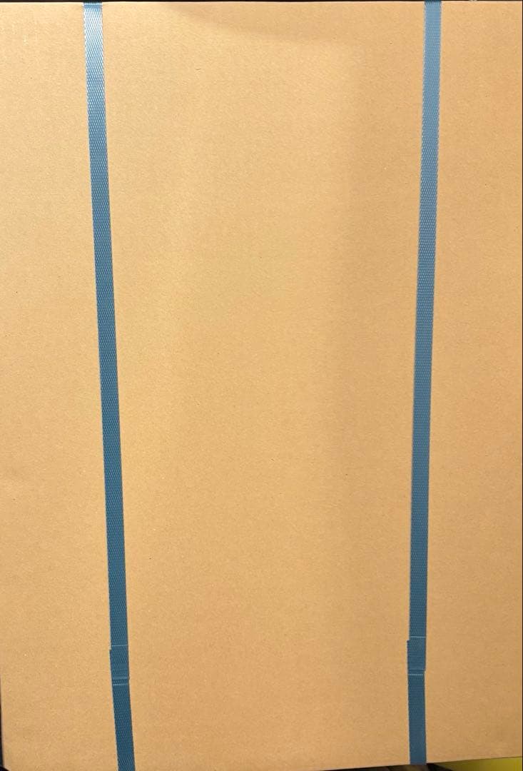 ぱれっと 9nine 九條京都 プリモアート 和泉つばす 直筆サイン入り