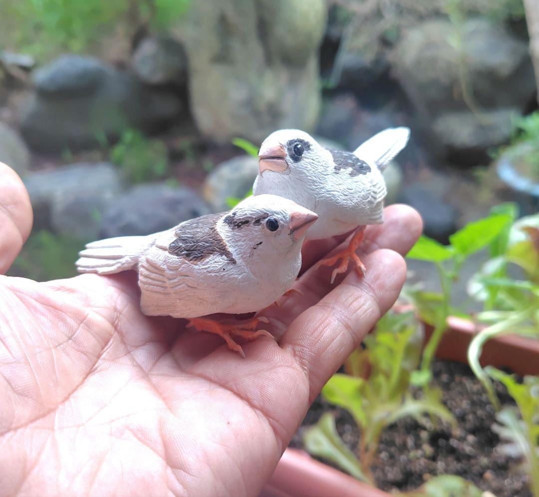 小さなバードカービング ジュウシマツ 野鳥 木彫り - メルカリ