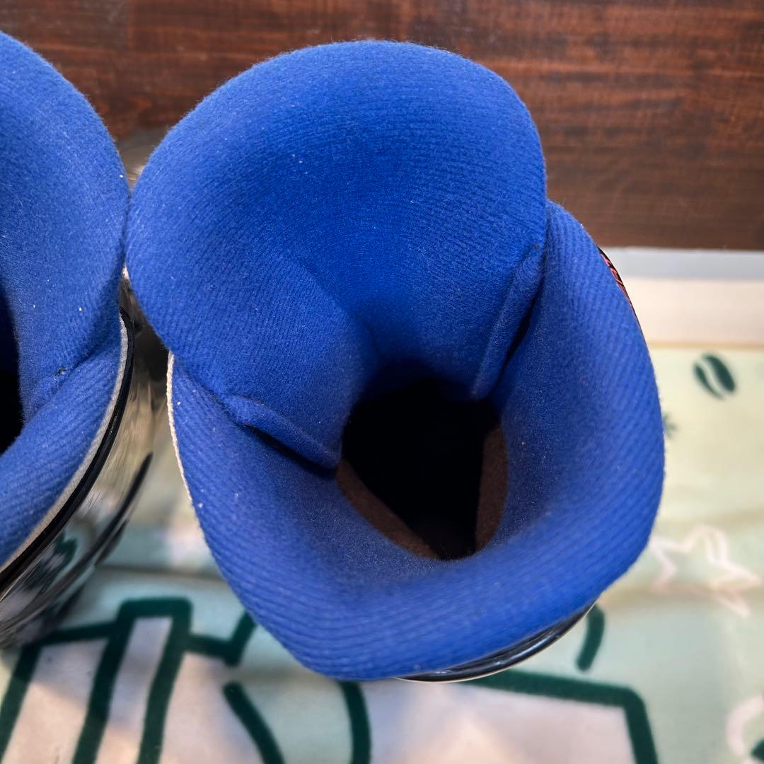 ◇状態良好◇ Dir-V 99cm ファンスキー　ブーツ　25〜25.5cm