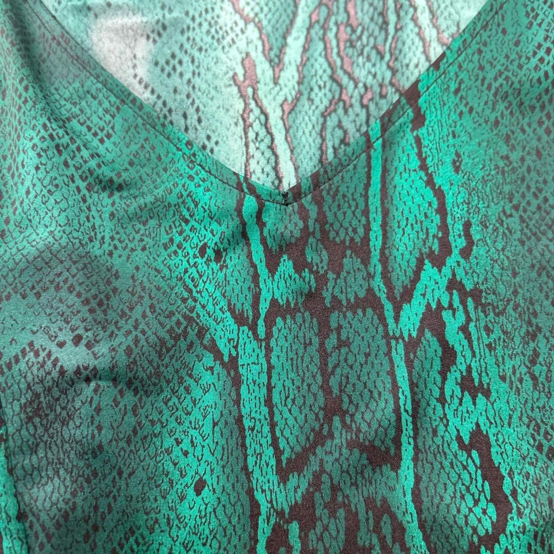 1点物 チャコット社交ダンスラテンワンピース緑ヘビ柄 ご覧くださり