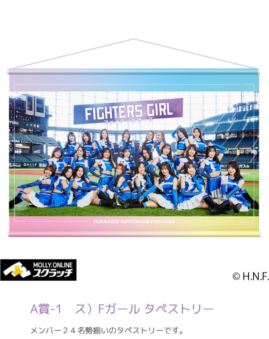 モーリーオンラインスクラッチ ファイターズガール A賞 タペストリー 北海道日本ハムファイターズ「ファイターズガール」×MOLLY.ONLINE