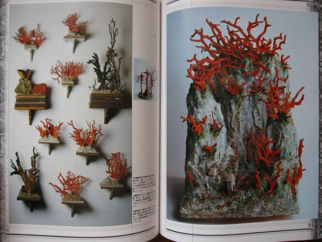 驚異の部屋 ハプスブルク家の珍宝蒐集室　美術蒐集室