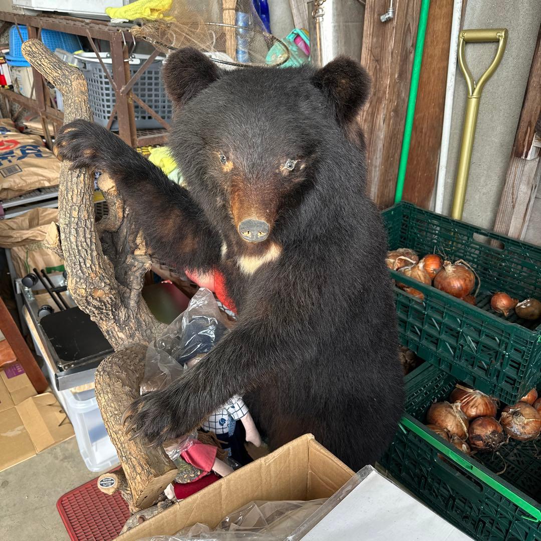 置物にどうぞ 毎年お楽しみの さいとうまきこさんの ミニチュア干支陶器 沢山入荷
