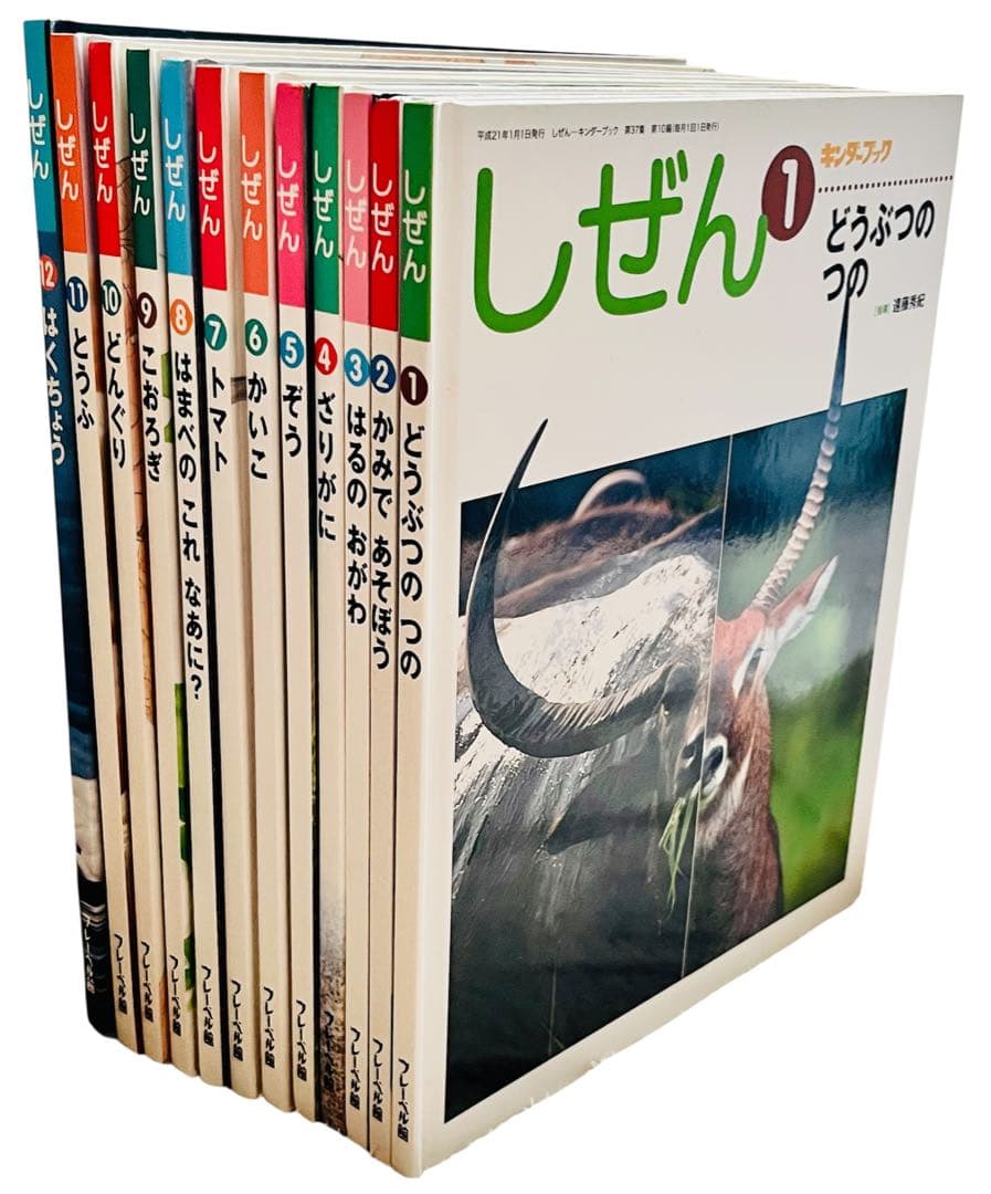 しぜん キンダーブック フレーベル館 全12冊揃 絵本セット 知育 児童書