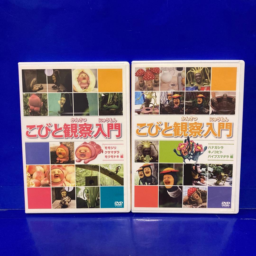 こびとづかん DVDこびと観察入門 DVD 2枚セット セル販売品 - メルカリ