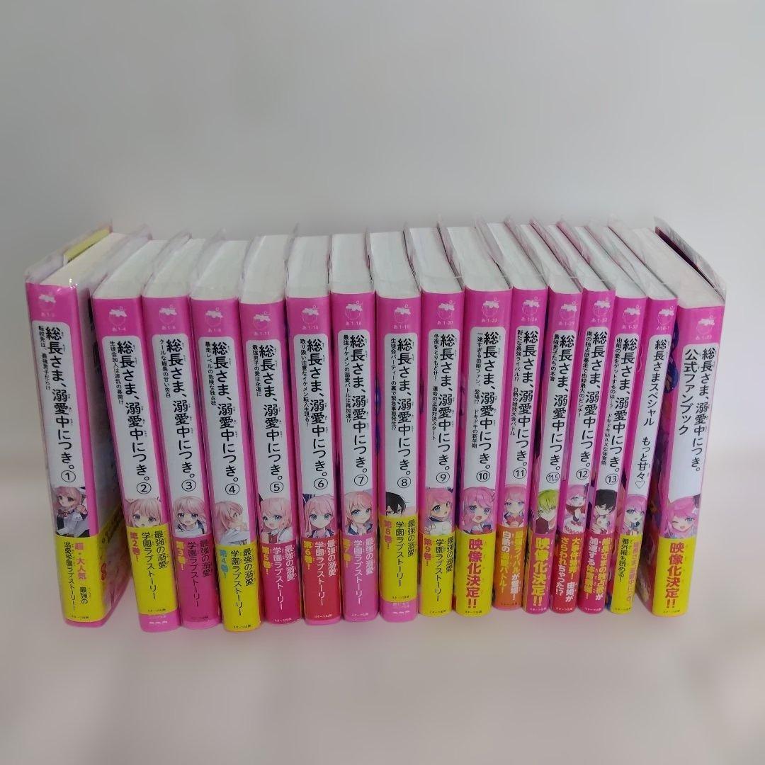 総長様は溺愛中につき 全14巻+2冊セット 総長さま、溺愛中につき。14(仮) (野いちごジュニア文庫) : *あいら