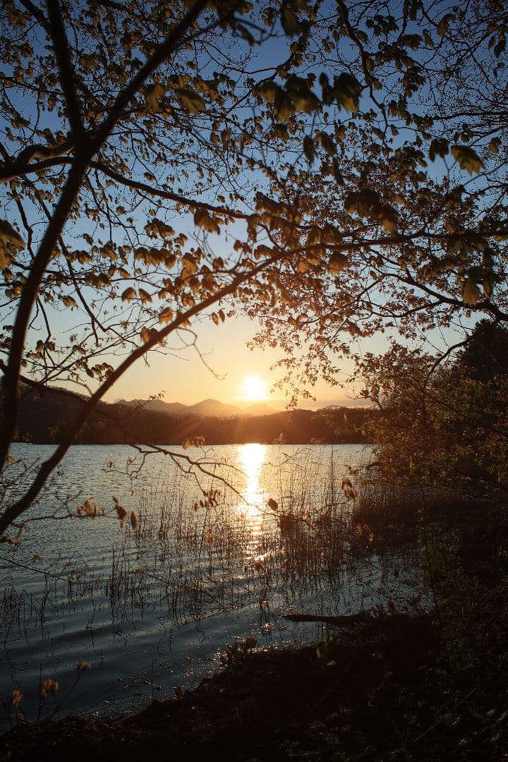 《希少》KINO PRECISION KIRON 28mm F2 MC【良品】