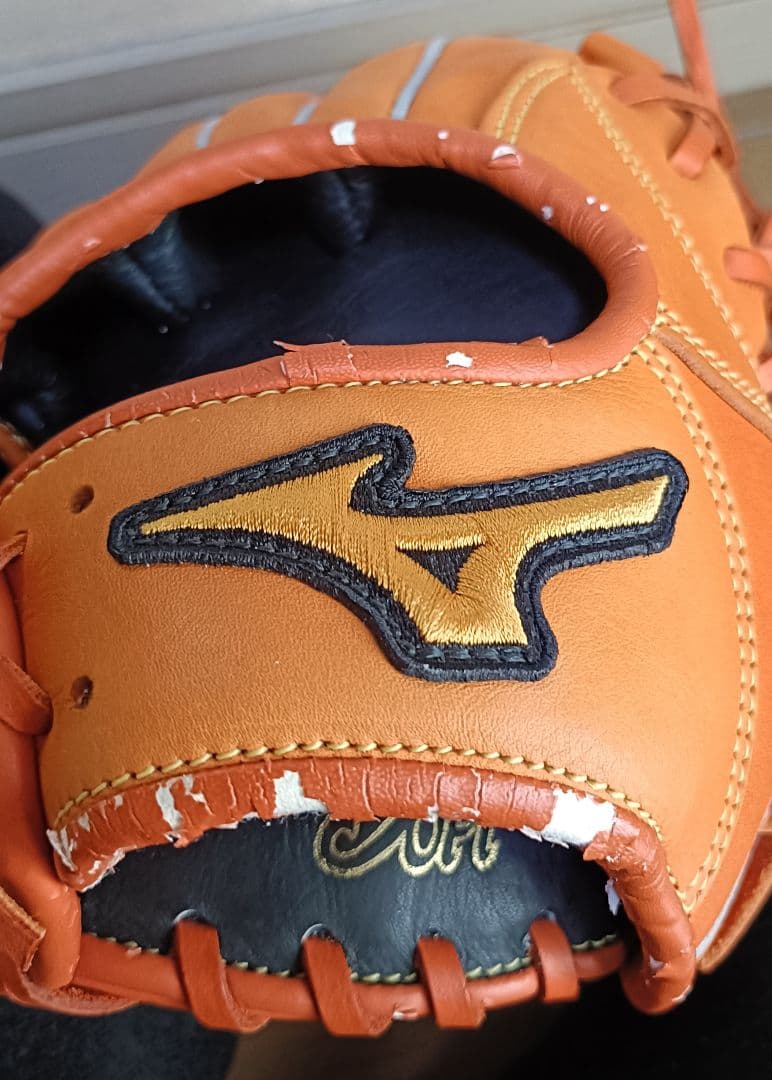 坂本勇人モデル限定品Mizuno Professional 一般用大人サイズ 9 - メルカリ