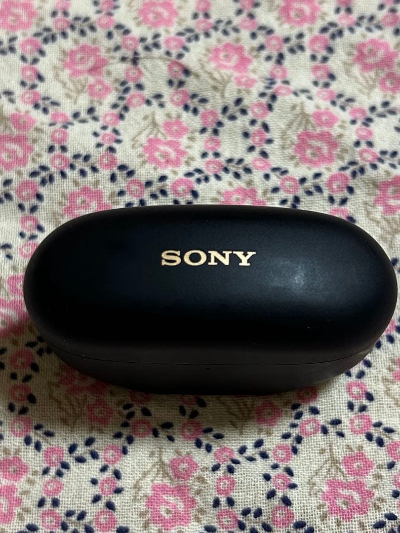 最新モデル】SONY WF-1000XM5 ブラック 左耳ジャンク - メルカリ