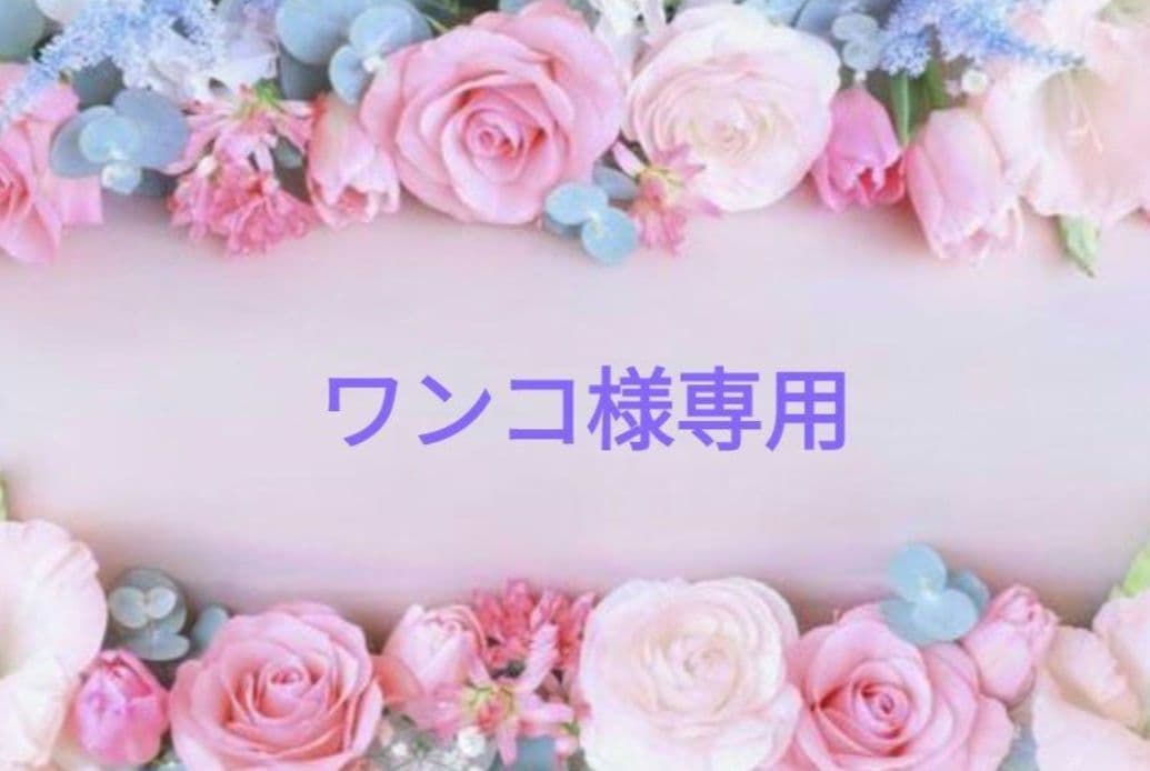 ワンコ　バラ苗 バラ苗 大苗 2026 パーシヴァル Perceval 国産ノイバラ台木使用 | 大苗