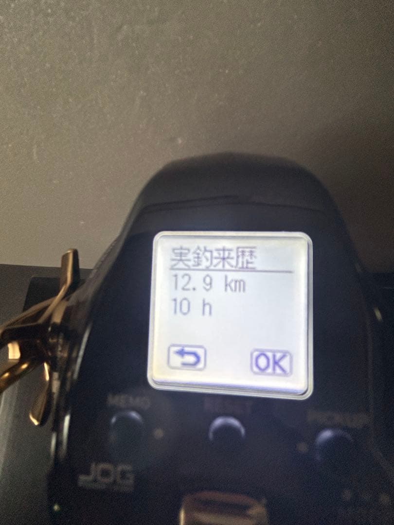 ダイワ シーボーグ G300JL【実釣来歴12.9km 10h】 - メルカリ