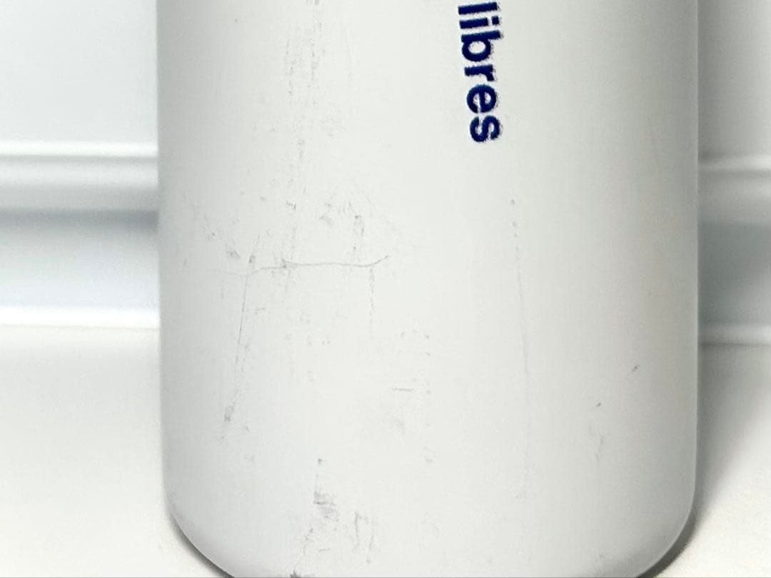 アンリ・マティス 「アンフォラを持つ女」スリムサーモンステンレスボトル300ml