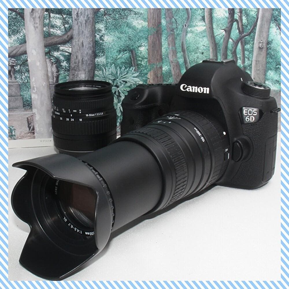 ☆はじめてのフルサイズ☆Canon EOS 6D 超望遠ダブルレンズセット