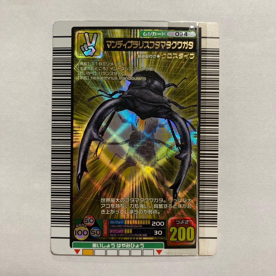 E マンディブラリスフタマタクワガタ 2005 ファースト ムシキング