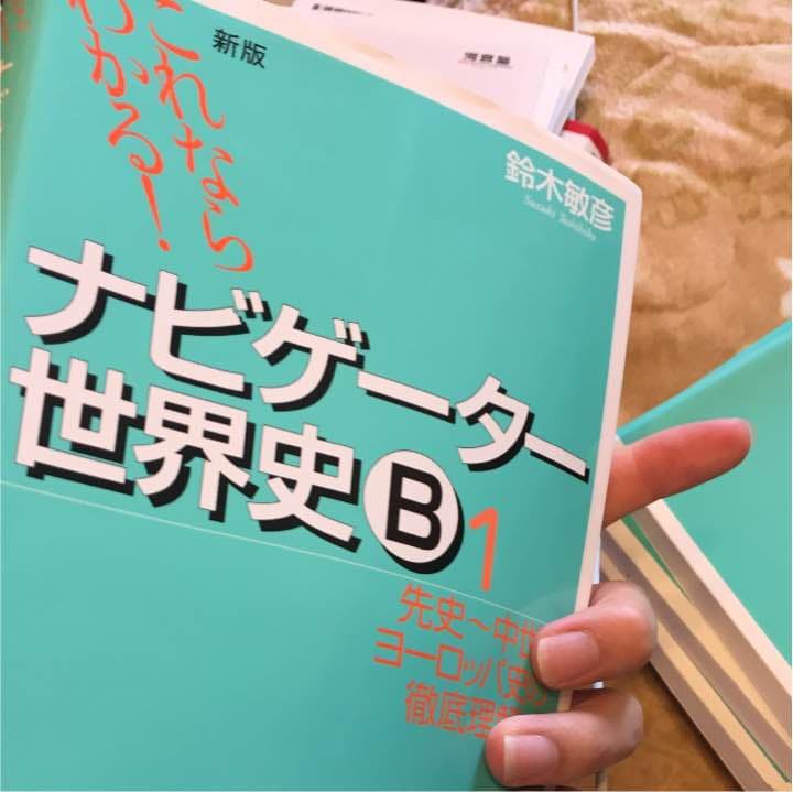 ナビゲーター世界史B : これならわかる! 1 (先史～中世ヨーロッパ史の徹底… 81p+O-J7BzL._AC_UF350,