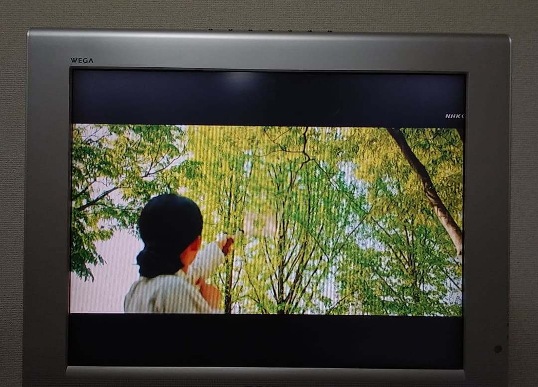 4：3】SONY WEGA 液晶KLV-20SP2 ※良映！送料込 ジャンク扱 - メルカリ