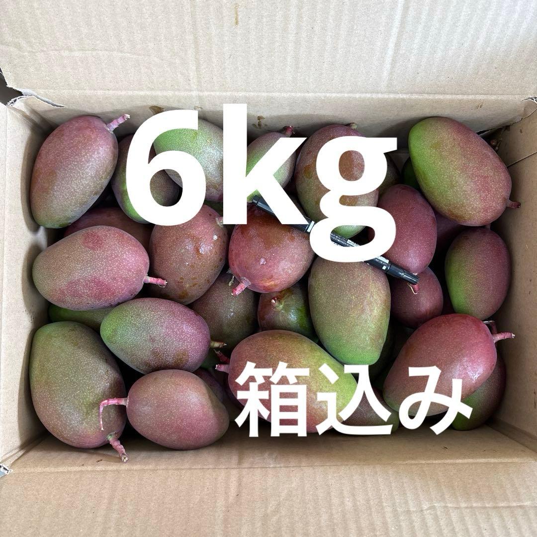 摘果マンゴー 6kg箱込み - メルカリ