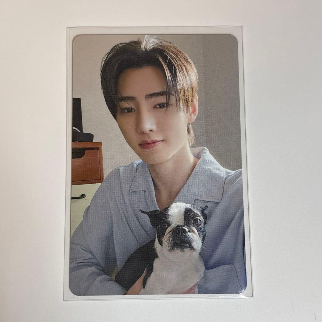 ENHYPEN FCアンケート当選 トレカ 1000名限定 2025 ソンフン - メルカリ