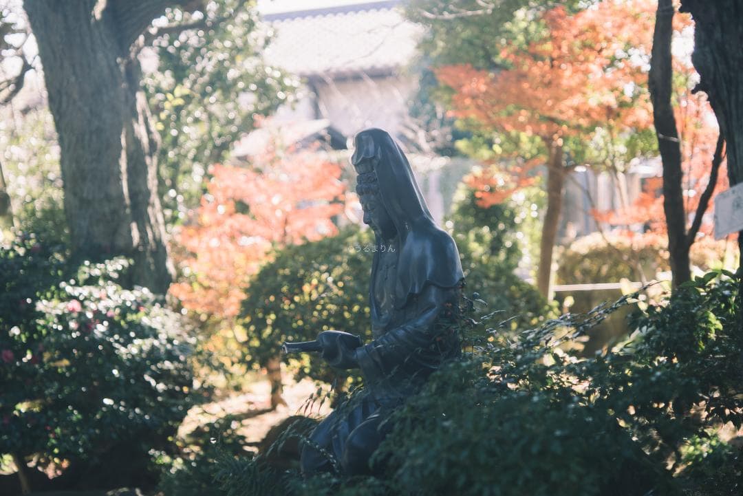 良品！木村文乃使用モデル！Leica Elmarit 90mm F2.8